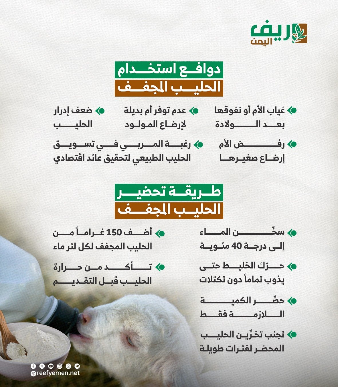 استخدام الحليب المجفف في تغذية مواليد الماعز