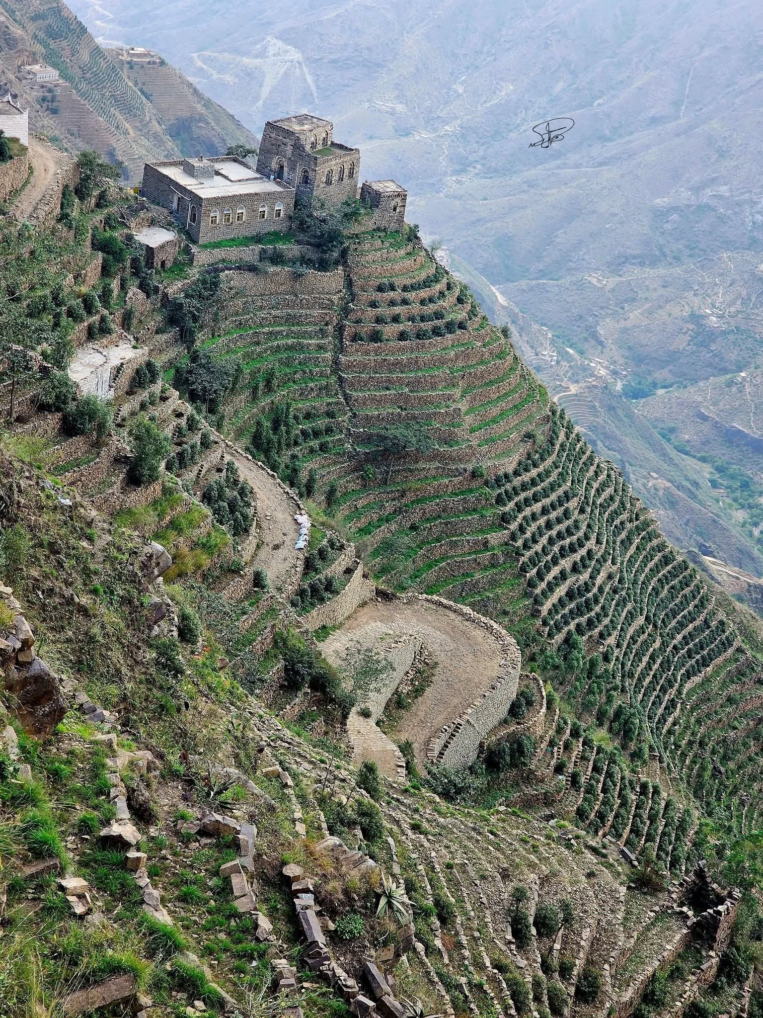 ريمة.. المدرجات الزراعية في قرية “الكبة سامد”