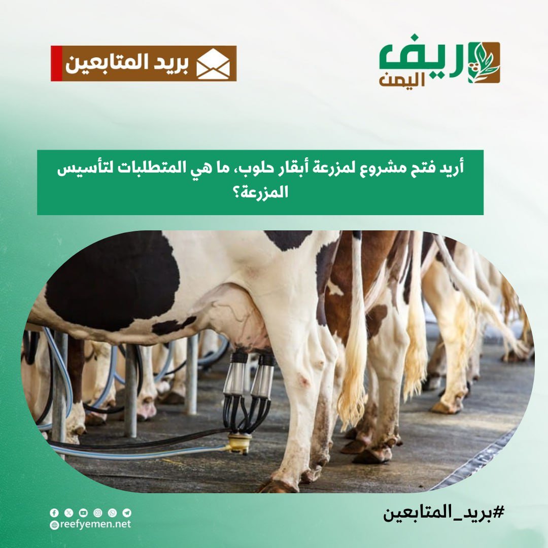 كيف تؤسس مزرعة أبقار حلوب ناجحة؟