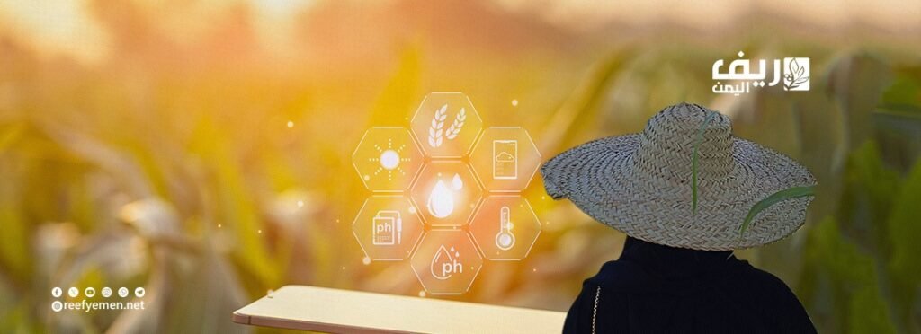المرأة الريفية والرقمنة: من العزلة إلى فضاء التمكين والتنمية