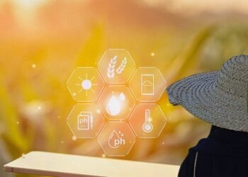 المرأة الريفية والرقمنة: من العزلة إلى فضاء التمكين والتنمية