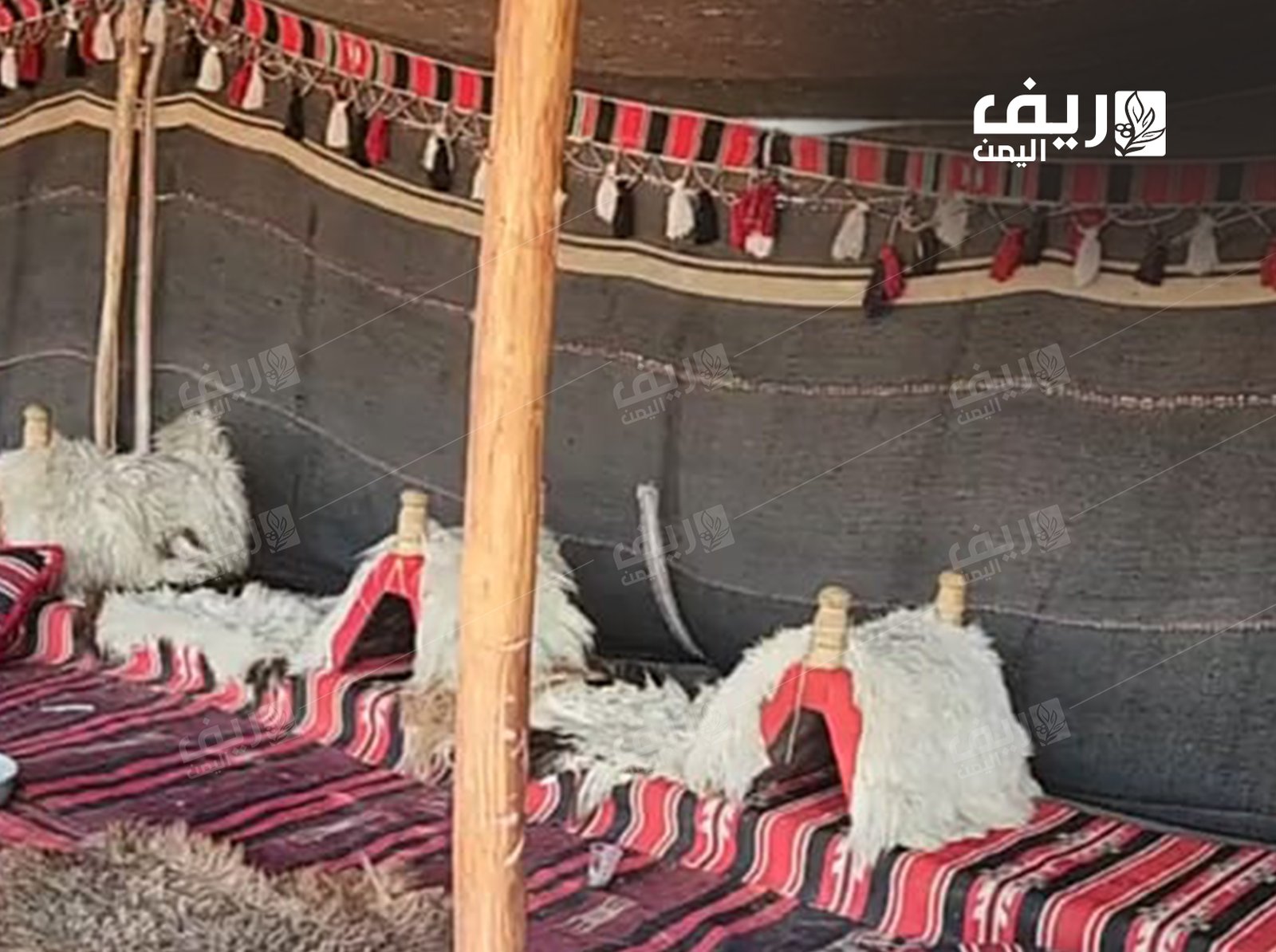 صوف الغنم.. مهنة الحياكة الريفية تُصارع الاندثار