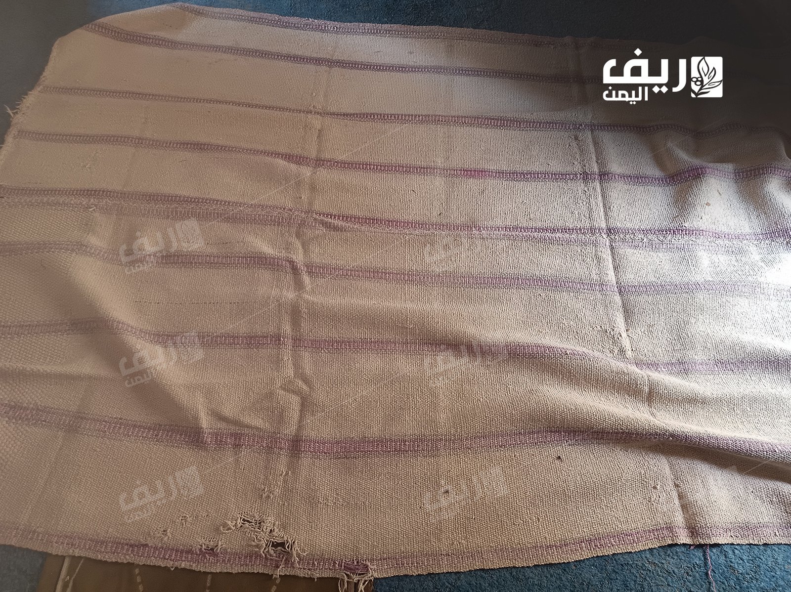 صوف الغنم.. مهنة الحياكة الريفية تُصارع الاندثار