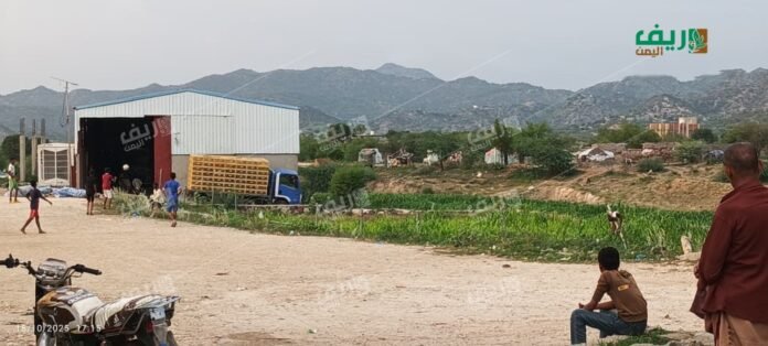 حجة: مزارع الدواجن العشوائية تهدد صحة السكان