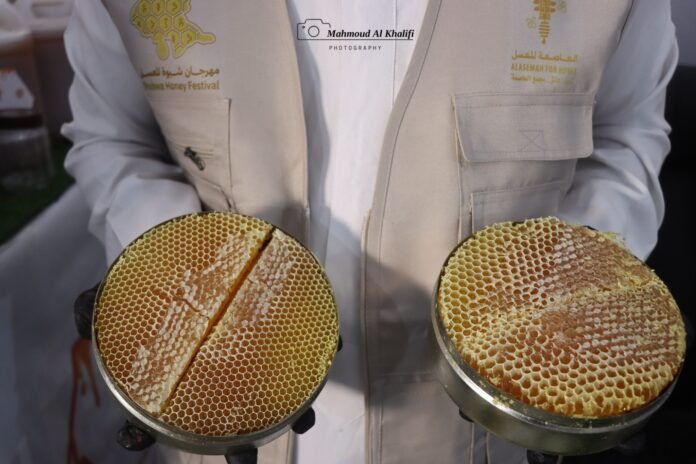 شبوة.. تدشين مهرجان العسل الأول لدعم الاقتصاد الريفي