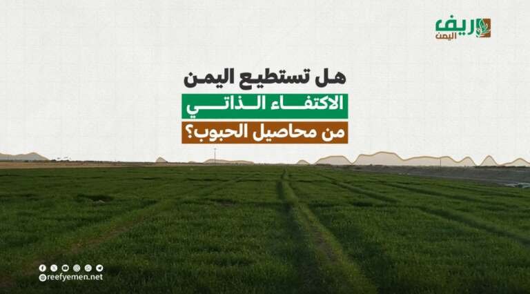 الحمى الشوكية تقتل 26 يمني