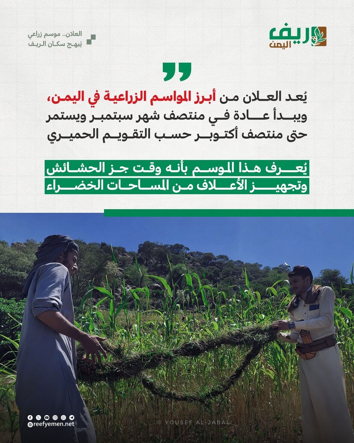 العلان.. موسم زراعي يبهج اليمنيين