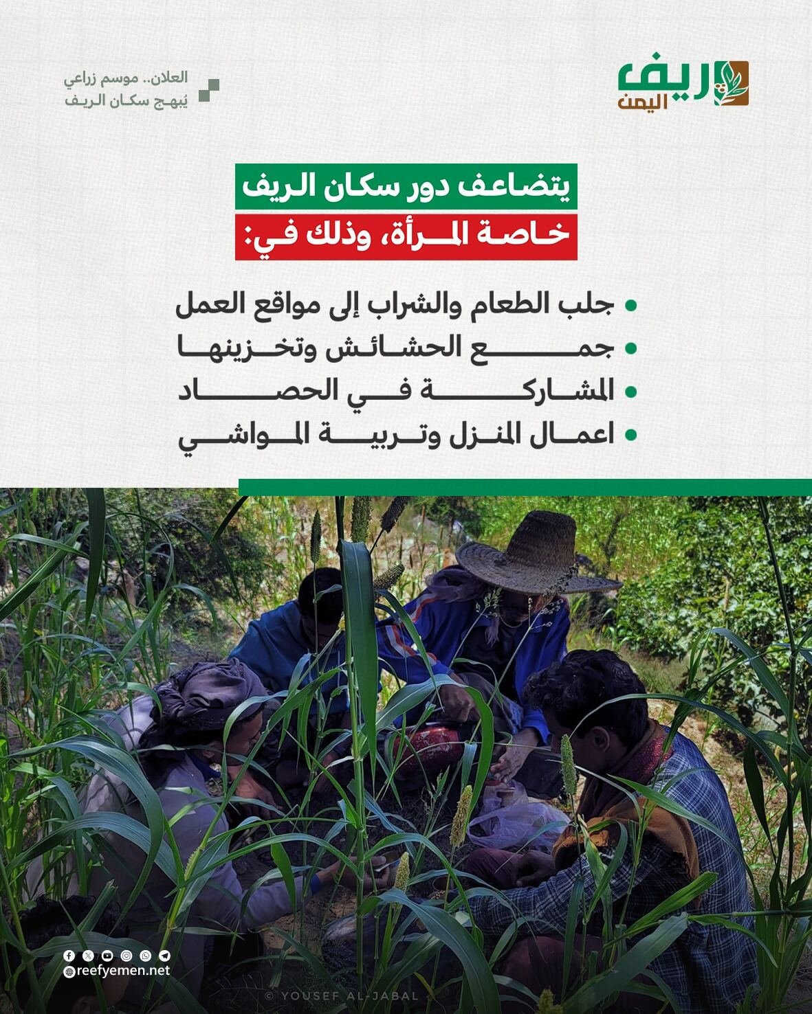 العلان.. موسم زراعي يبهج اليمنيين