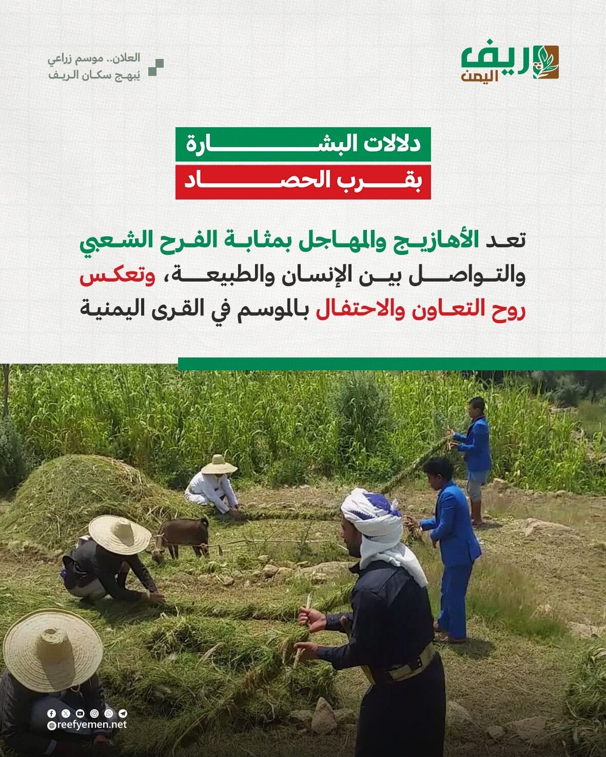 العلان.. موسم زراعي يبهج اليمنيين