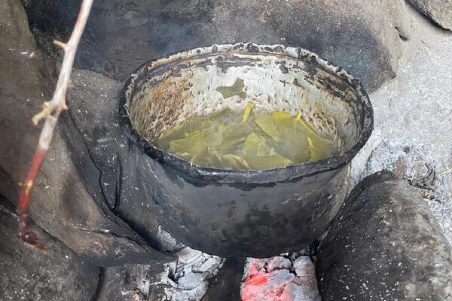 اليمن وكارثة أزمة الغذاء: أسر تقلص الوجبات لإنقاذ أطفالها