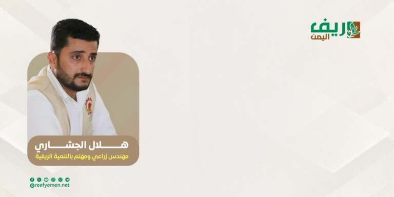 الجشاري: «القات» غيَّر وجه وادي السحول وأفقده خصوبته الزراعية