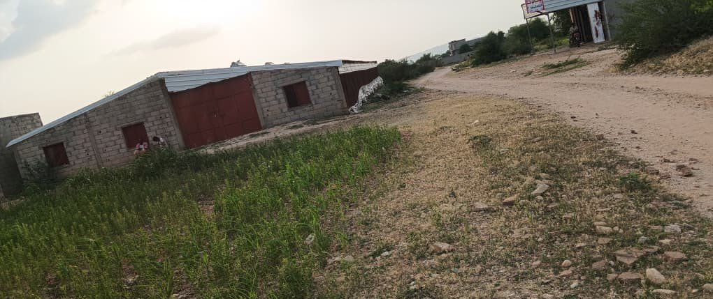 حجة: مزارع الدواجن العشوائية تهدد صحة السكان