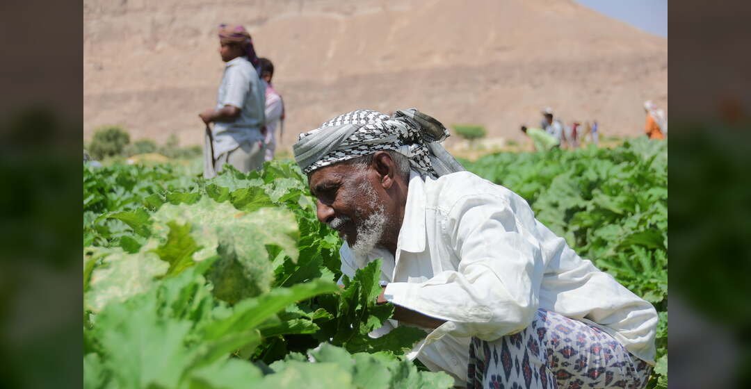 تفكّك إنتاجية الريف كنتيجة لسياسات التهميش