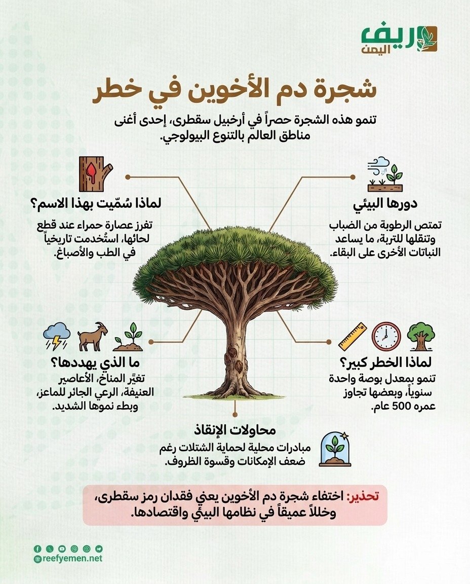 شجرة دم الأخوين: جوهرة سقطرى في خطر