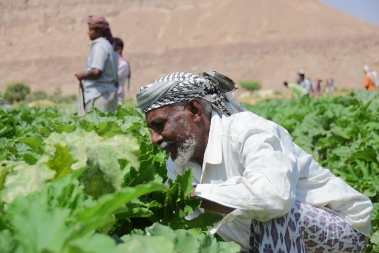 تفكّك إنتاجية الريف كنتيجة لسياسات التهميش