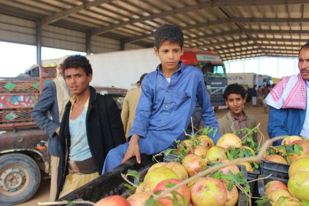 التعاونيات مفتاح مستقبل الزراعة اليمنية