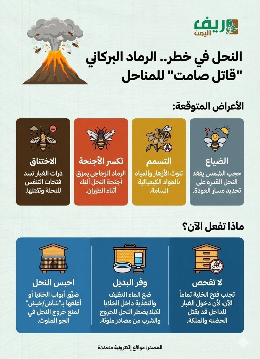 تعرف على مخاطر الغبار البركاني وطرق الوقاية