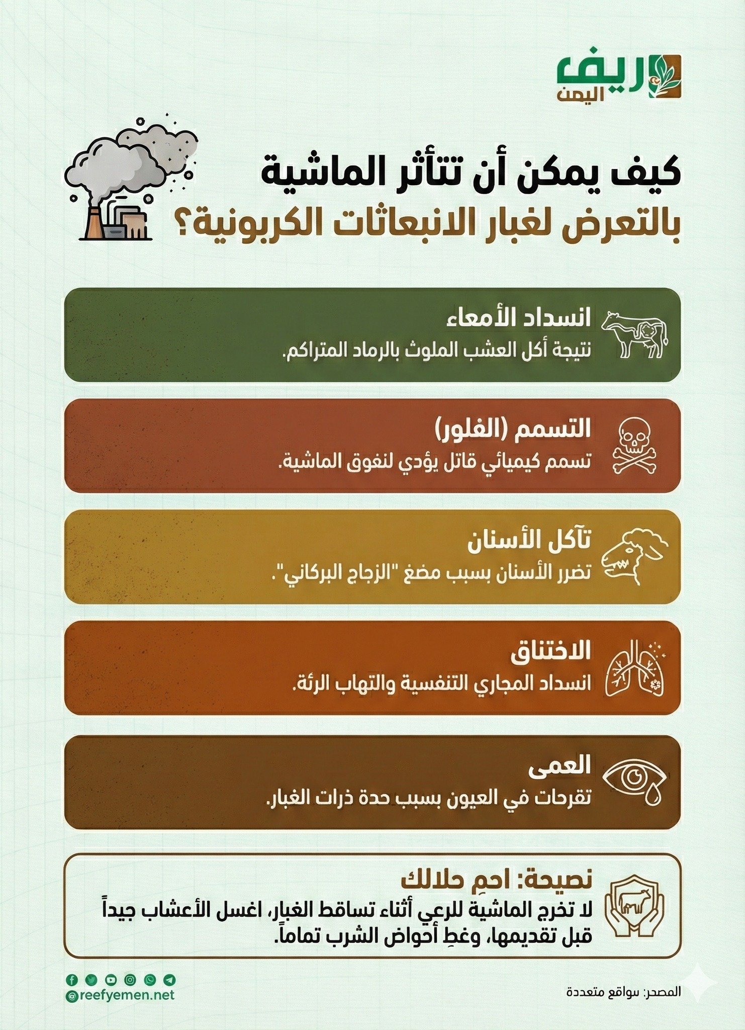 تعرف على مخاطر الغبار البركاني وطرق الوقاية