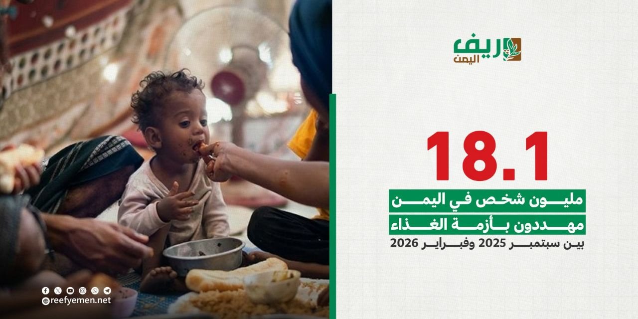 المزارعون في اليمن بين آمال الوفرة ومخاوف الفيضانات