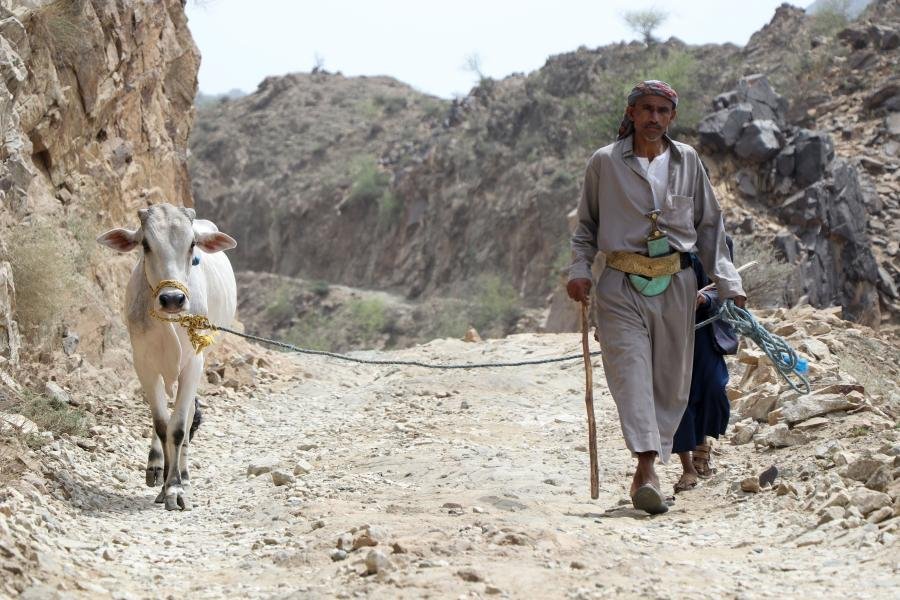 تفكّك إنتاجية الريف كنتيجة لسياسات التهميش