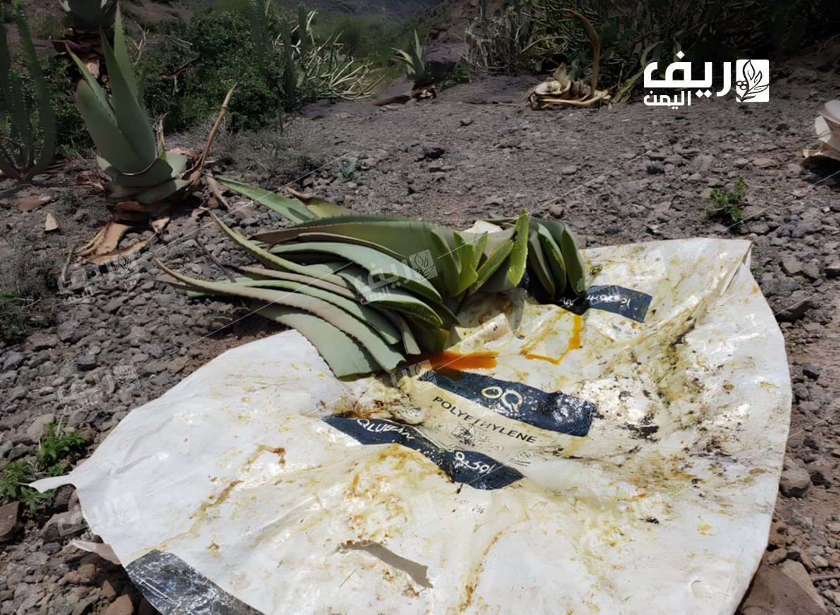 "الصّبِر المُر" ملجأ أسرة يمنية للعيش