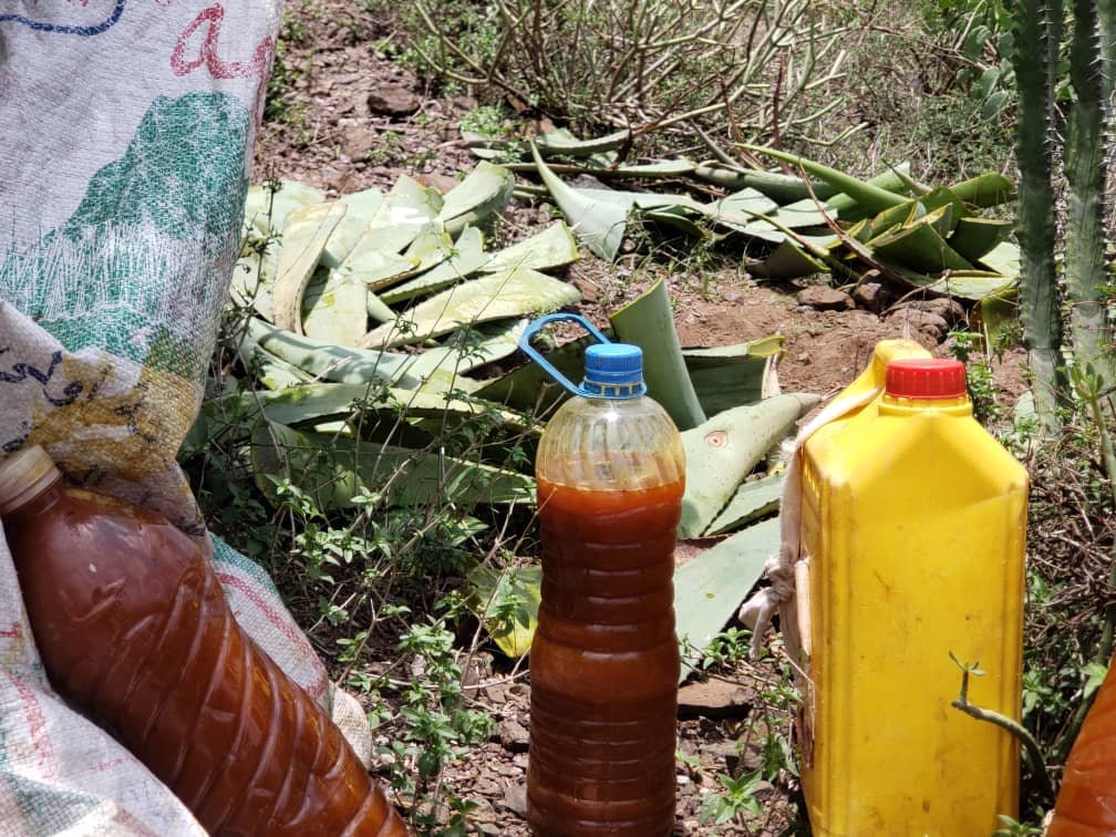 "الصّبِر المُر" ملجأ أسرة يمنية للعيش