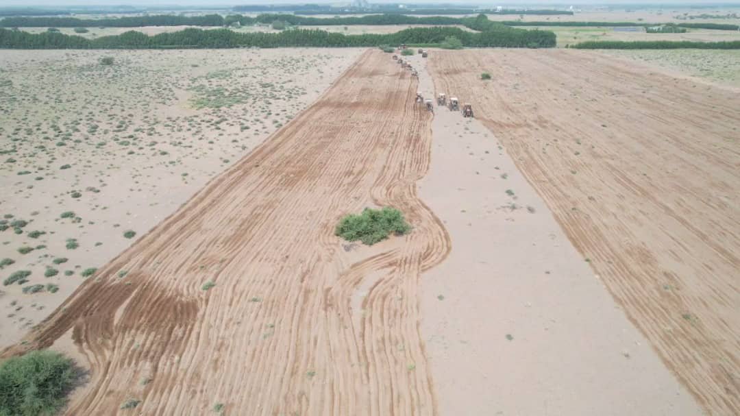 زراعة الصحراء.. حلمٌ أخضر في رمال تهامة