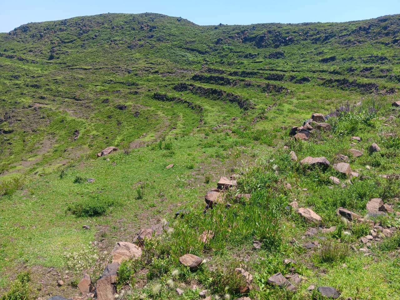 اليمن.. أكثر من نصف مليون أسرة زراعية بحاجة مساعدة عاجلة 