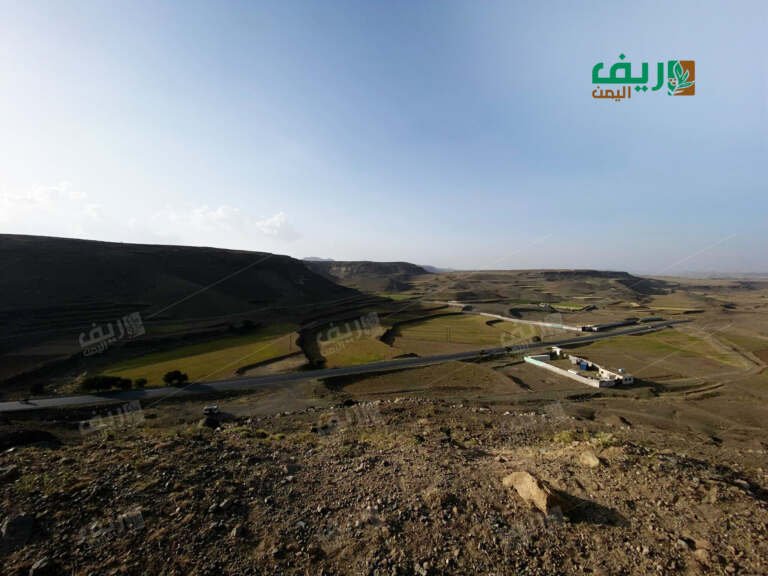 المزارعون اليمنيون بين هجر الأراضي وتحديات شح المياه