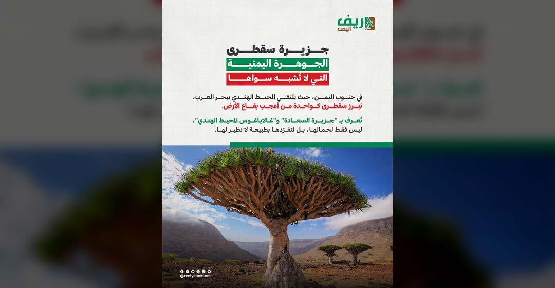 جزيرة سقطرى اليمنية