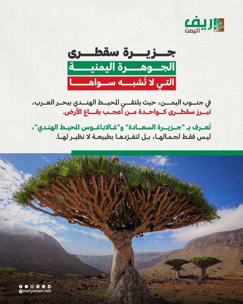 جزيرة سقطرى اليمنية