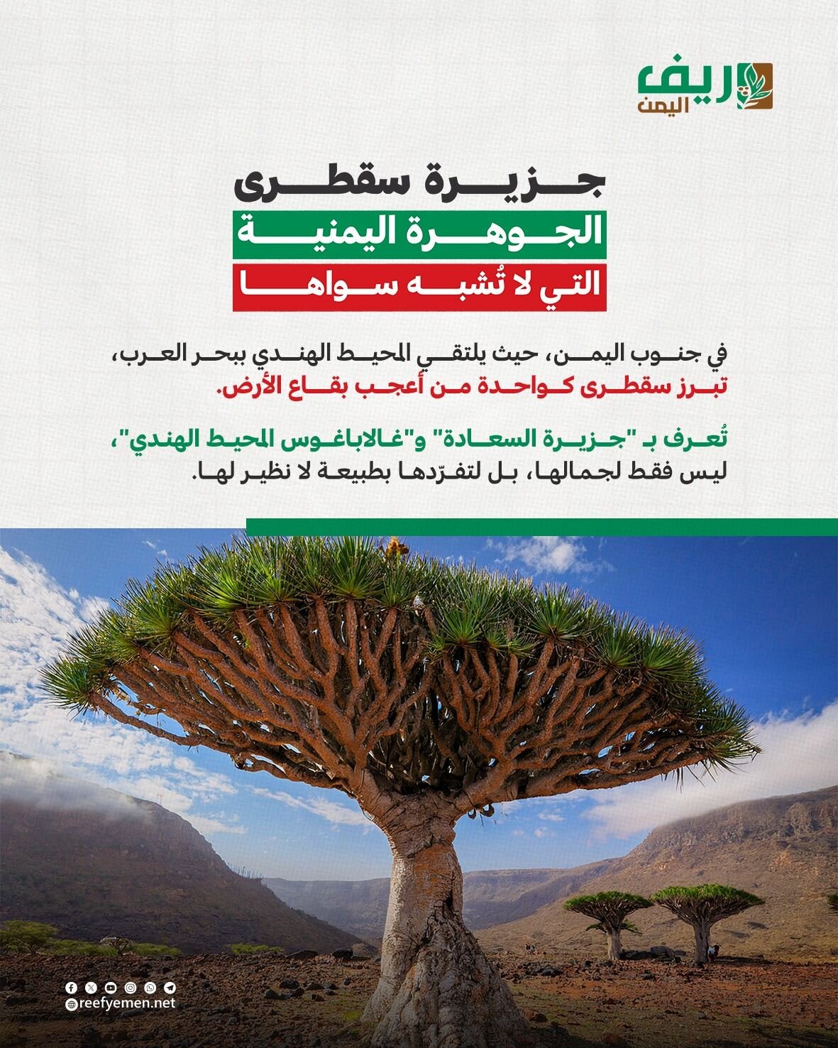 جزيرة سقطرى اليمنية