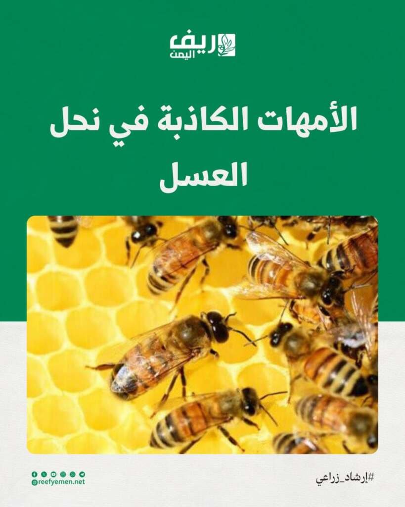 الأمهات الكاذبة في النحل.. الأسباب وطرق العلاج