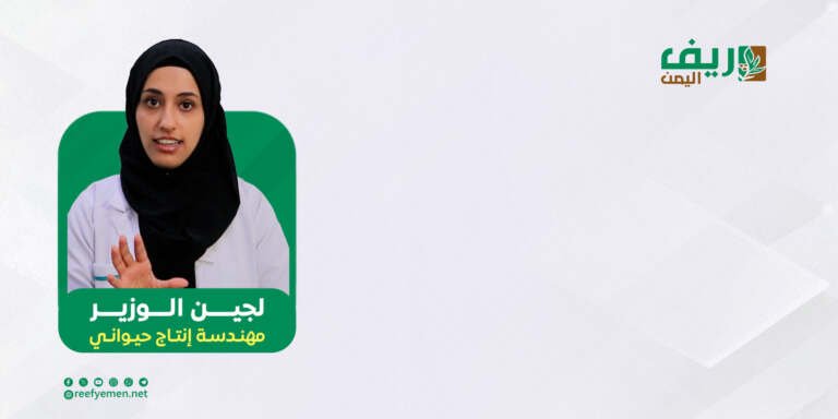 لجين الوزير.. قصة شغف في تربية الثروة الحيوانية