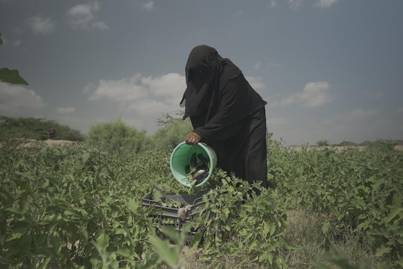 كيف يواجه المزارعون الآفات في ظل مناخ متقلب؟
