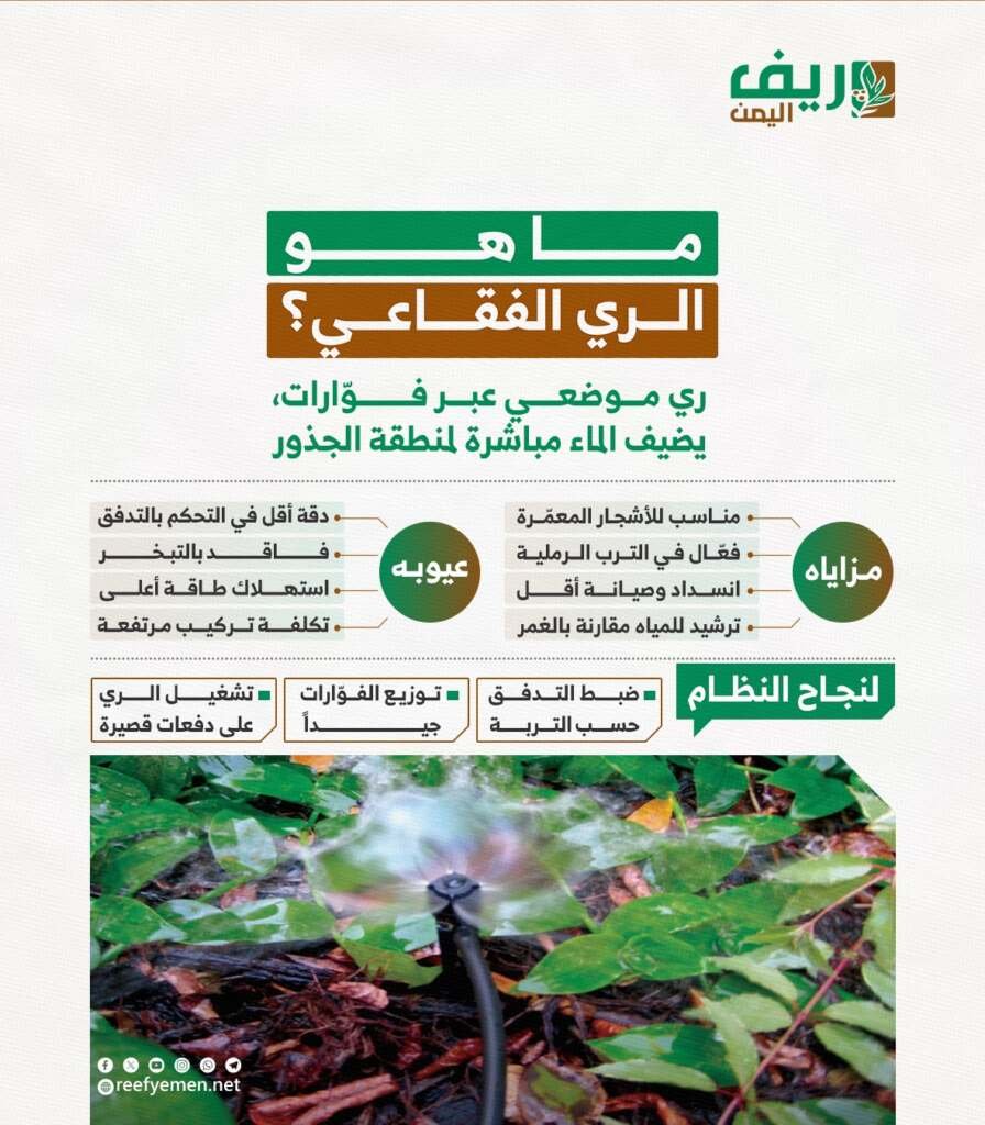 مزايا وعيوب نظام الري الفقاعي