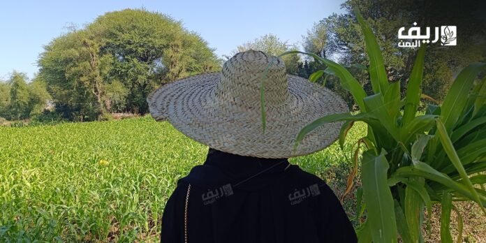 كيف يواجه المزارعون الآفات في ظل مناخ متقلب؟