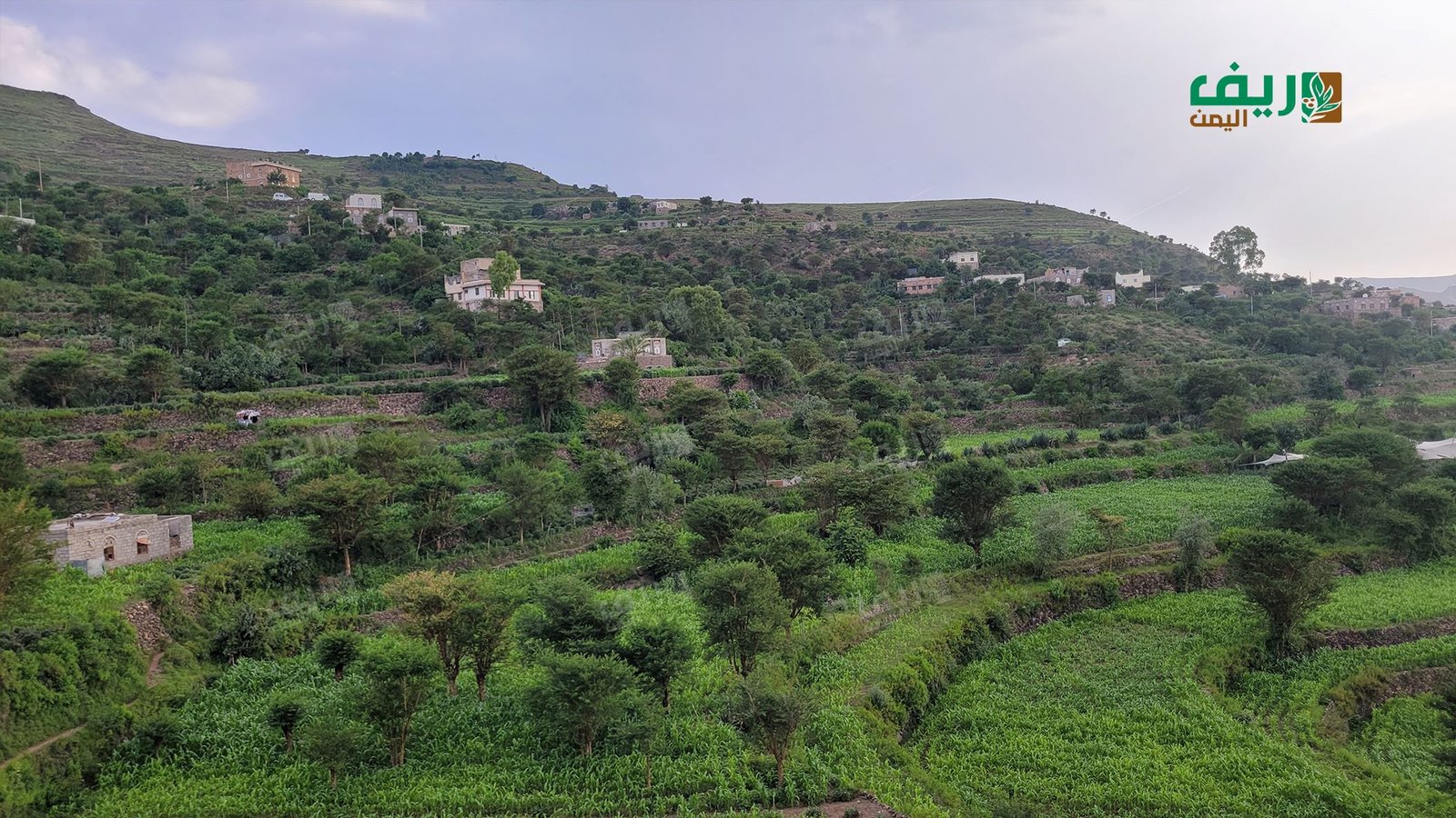 السياحة الريفية في إب: طبيعة ساحرة بلا استثمار