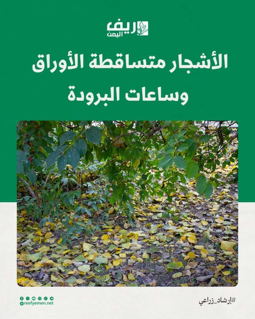 السكون الشتوي وساعات البرودة للأشجار متساقطة الأوراق