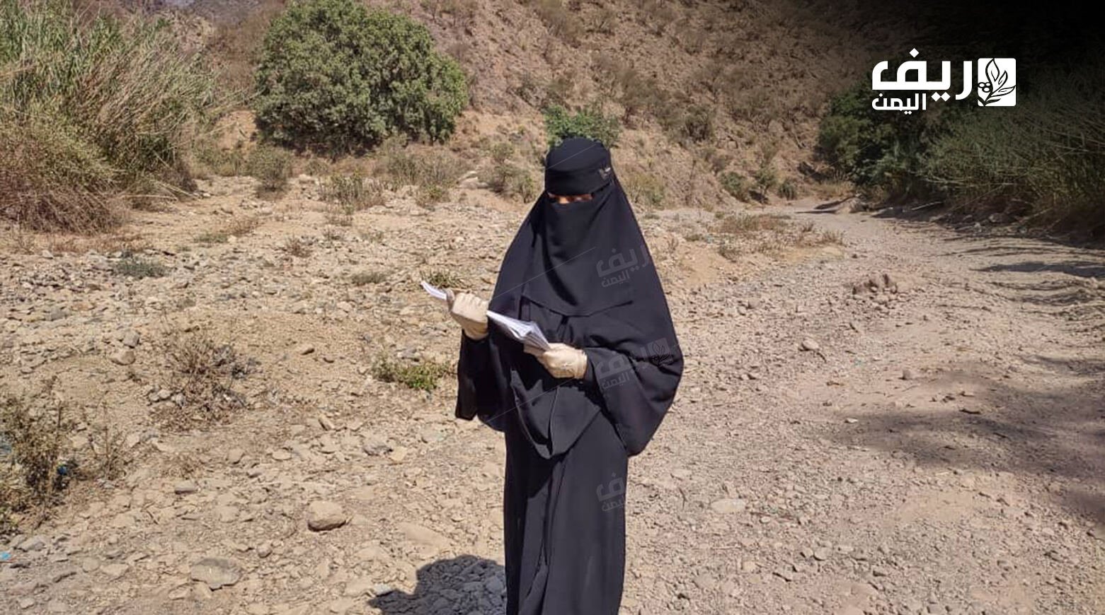 طالبات نخلة بتعز.. طريق شاق نحو التعليم الجامعي