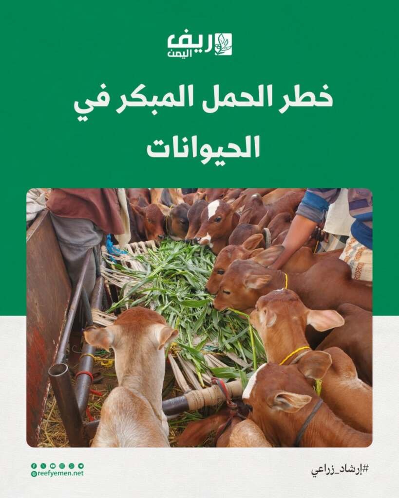 مخاطر حمل الحيوانات المبكر
