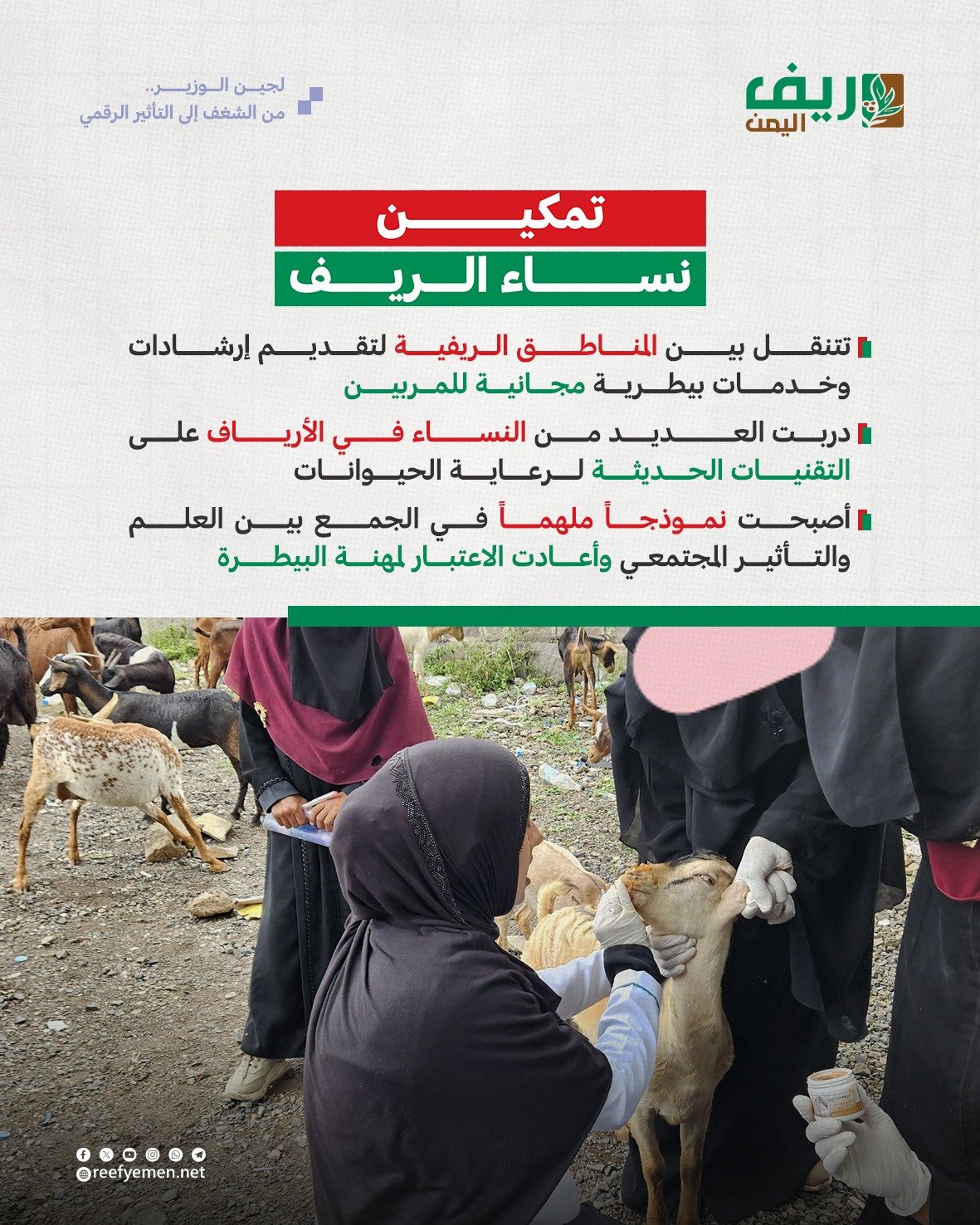 قصة لجين الوزير والتأثير