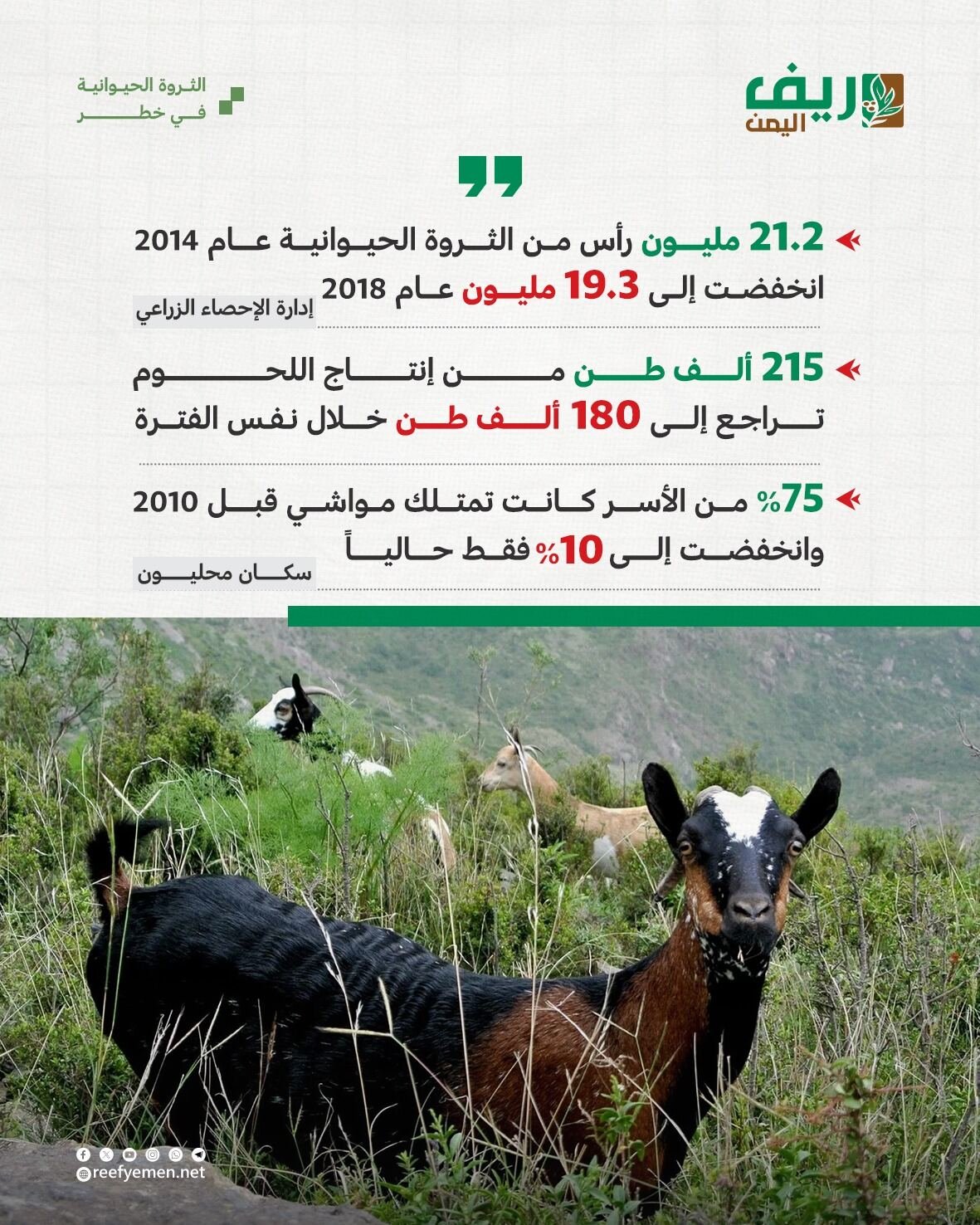 تراجع حاد يهدد الثروة الحيوانية