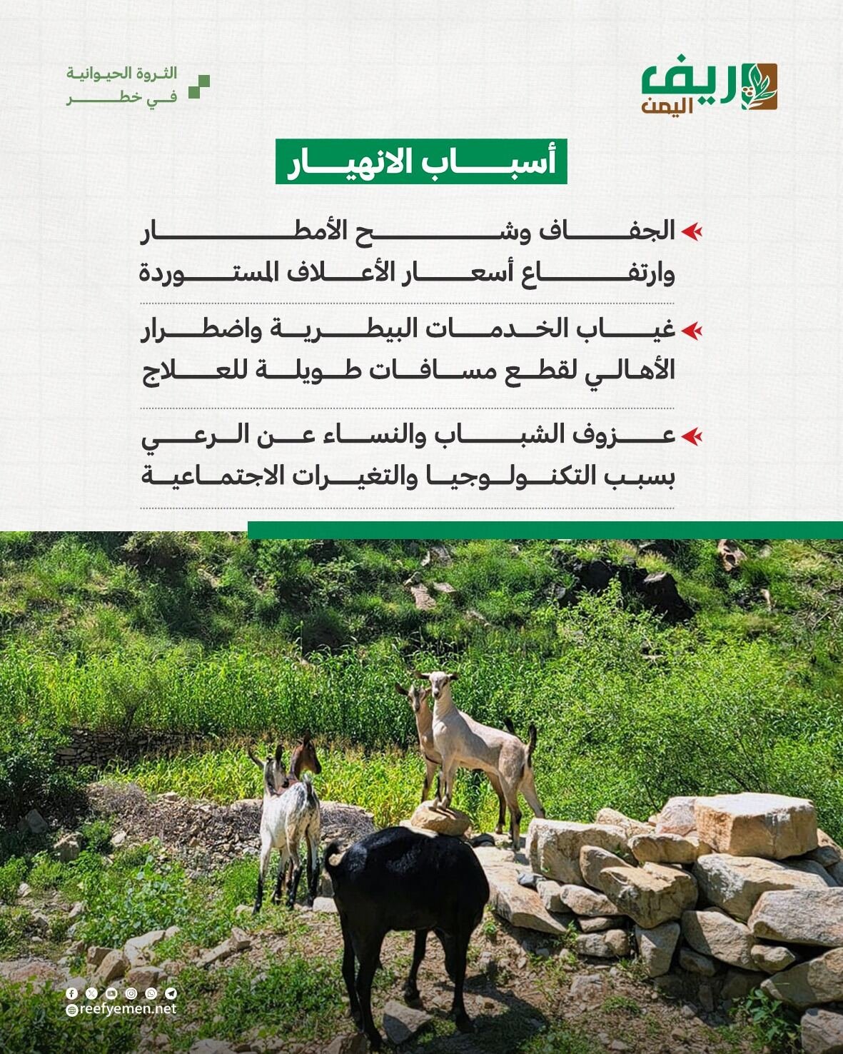 تراجع حاد يهدد الثروة الحيوانية