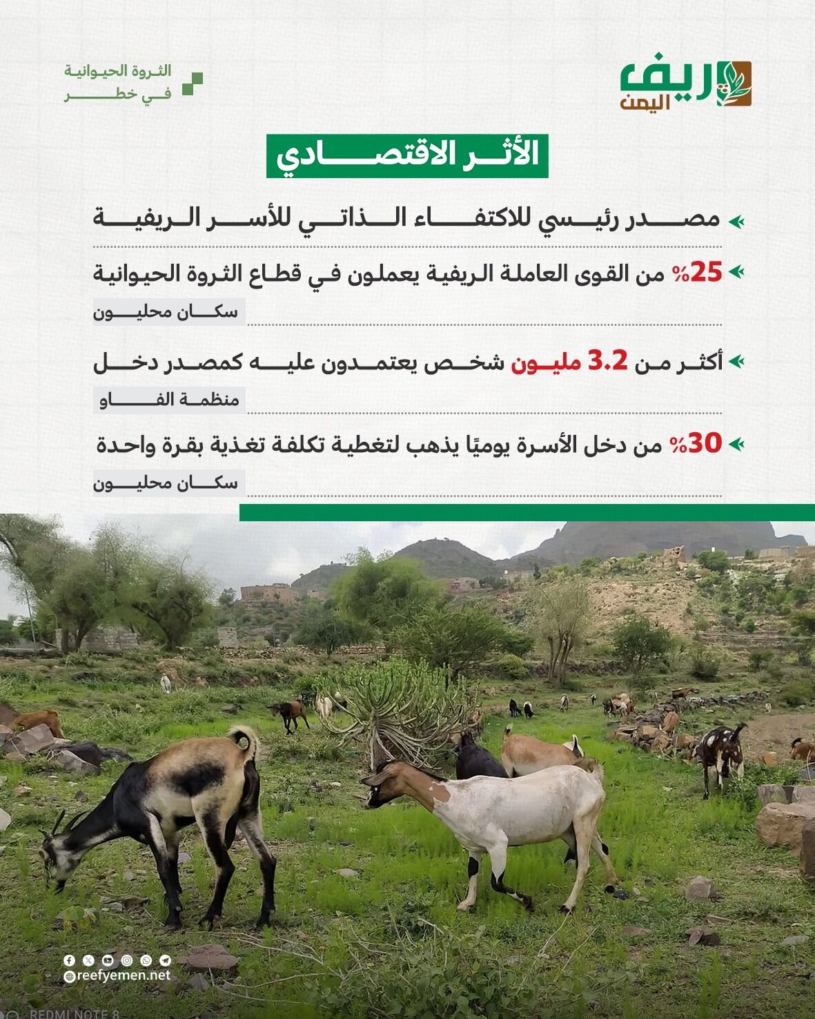 تراجع حاد يهدد الثروة الحيوانية