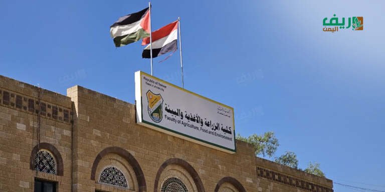 التخصصات الزراعية.. مسار أكاديمي يعود للواجهة