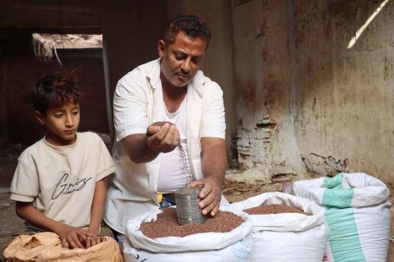 الحديدة.. انطلاق مهرجان ‹يوم السمسم› بنسخته الثالثة