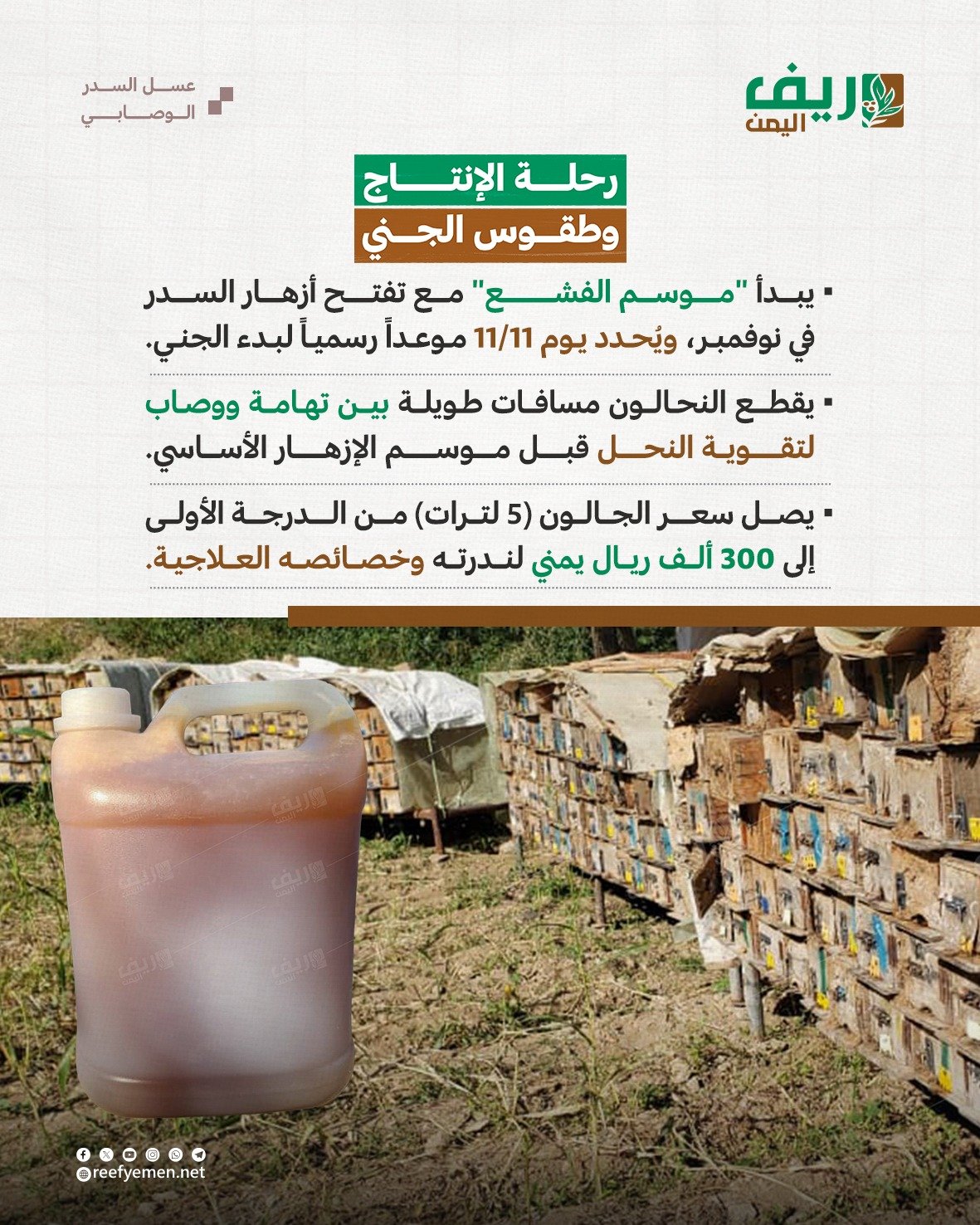ماذا تعرف عن عسل السدر الوصابي؟