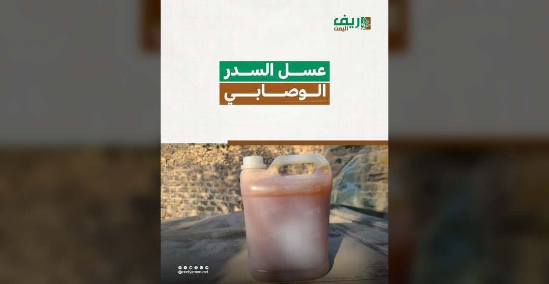 ماذا تعرف عن عسل السدر الوصابي؟