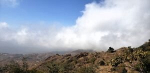 إرشادات وقائية لمواجهة موجات البرد القارس